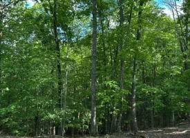 SOLD!! 12+/-acres. Incredible bluff views with beautiful sunsets