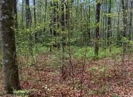 This property offers a great opportunity to make it your own or investment potential.