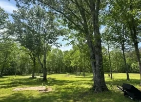 This property offers a great opportunity to make it your own or investment potential.