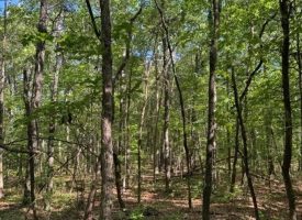 SOLD!! 5.85+/-acres Unrestricted wooded property with Electric and City Water At the Property
