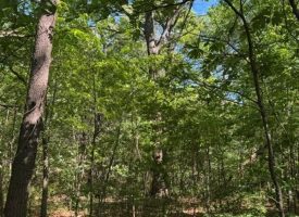 SOLD!! 5.85+/-acres Unrestricted wooded property with Electric and City Water At the Property