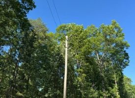 SOLD!! 5.85+/-acres Unrestricted wooded property with Electric and City Water At the Property