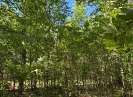 SOLD!! 5.85+/-acres Unrestricted wooded property with Electric and City Water At the Property