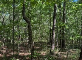 SOLD!! 5.85+/-acres Unrestricted wooded property with Electric and City Water At the Property