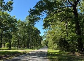 SOLD!! 5.85+/-acres Unrestricted wooded property with Electric and City Water At the Property