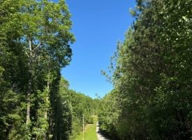 SOLD!! 5.85+/-acres Unrestricted wooded property with Electric and City Water At the Property