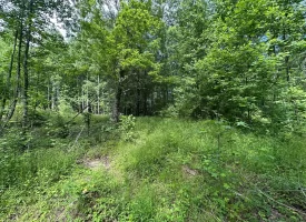 5.21+/-acres wooded property already set up to build your dream home
