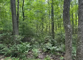 5.21+/-acres wooded property already set up to build your dream home