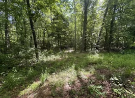 5.21+/-acres wooded property already set up to build your dream home