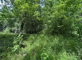 5.21+/-acres wooded property already set up to build your dream home