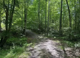 5.21+/-acres wooded property already set up to build your dream home