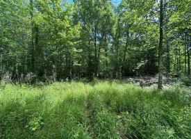 5.21+/-acres wooded property already set up to build your dream home
