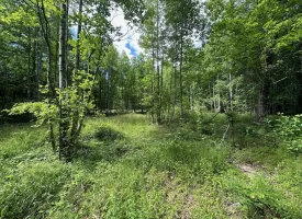 5.21+/-acres wooded property already set up to build your dream home