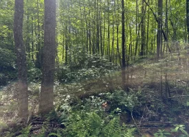 5.21+/-acres wooded property already set up to build your dream home