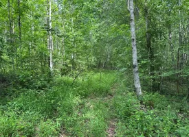 5.21+/-acres wooded property already set up to build your dream home