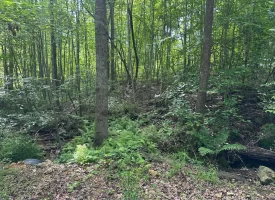 5.21+/-acres wooded property already set up to build your dream home