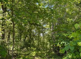 SOLD!! 5.88+/-acres Unrestricted with Electric and water available