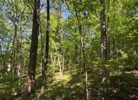 SOLD!! 5.88+/-acres Unrestricted with Electric and water available