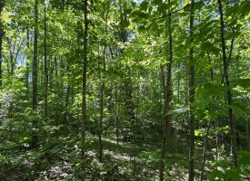 SOLD!! 5.88+/-acres Unrestricted with Electric and water available