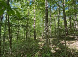 SOLD!! 5.88+/-acres Unrestricted with Electric and water available