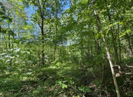 SOLD!! 5.88+/-acres Unrestricted with Electric and water available