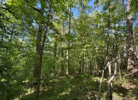 SOLD!! 5.88+/-acres Unrestricted with Electric and water available