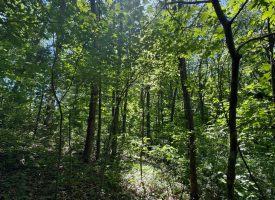 SOLD!! 5.88+/-acres Unrestricted with Electric and water available