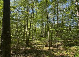 SOLD!! 5.88+/-acres Unrestricted with Electric and water available