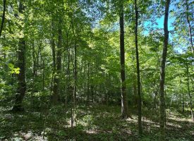 SOLD!! 5.88+/-acres Unrestricted with Electric and water available