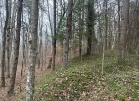 120.62+/-acres Beautiful unrestricted property