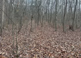 120.62+/-acres Beautiful unrestricted property