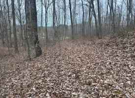 120.62+/-acres Beautiful unrestricted property