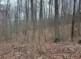 120.62+/-acres Beautiful unrestricted property