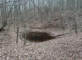 120.62+/-acres Beautiful unrestricted property