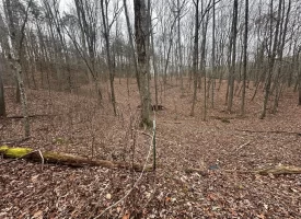 120.62+/-acres Beautiful unrestricted property