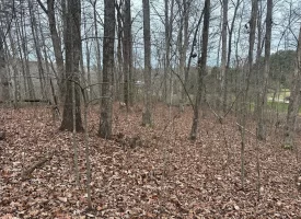 120.62+/-acres Beautiful unrestricted property