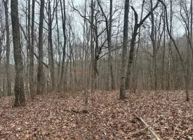 120.62+/-acres Beautiful unrestricted property