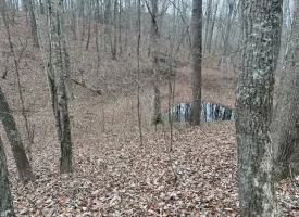 120.62+/-acres Beautiful unrestricted property