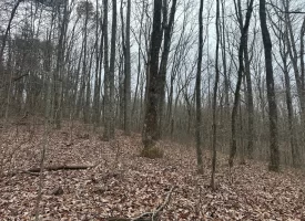 120.62+/-acres Beautiful unrestricted property