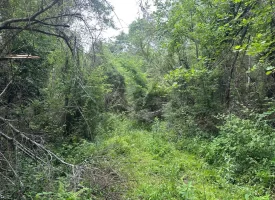 10+/-acres Unrestricted Wooded property nestled on the scenic Cumberland Plateau