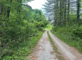 10+/-acres Unrestricted Wooded property nestled on the scenic Cumberland Plateau