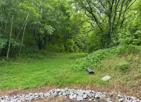 89.5+/-acres Unrestricted with Hunting Cabin