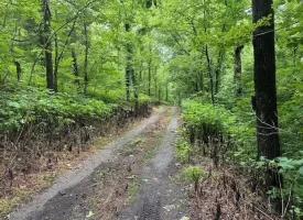 89.5+/-acres Unrestricted with Hunting Cabin