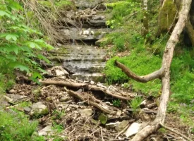 89.5+/-acres Unrestricted with Hunting Cabin