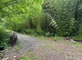 89.5+/-acres Unrestricted with Hunting Cabin