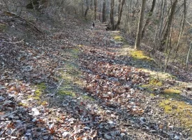 89.5+/-acres Unrestricted with Hunting Cabin