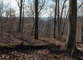 89.5+/-acres Unrestricted with Hunting Cabin