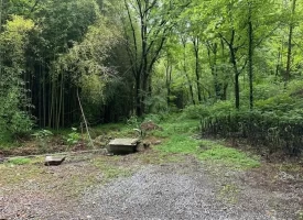 89.5+/-acres Unrestricted with Hunting Cabin