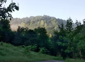 89.5+/-acres Unrestricted with Hunting Cabin