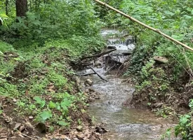 89.5+/-acres Unrestricted with Hunting Cabin